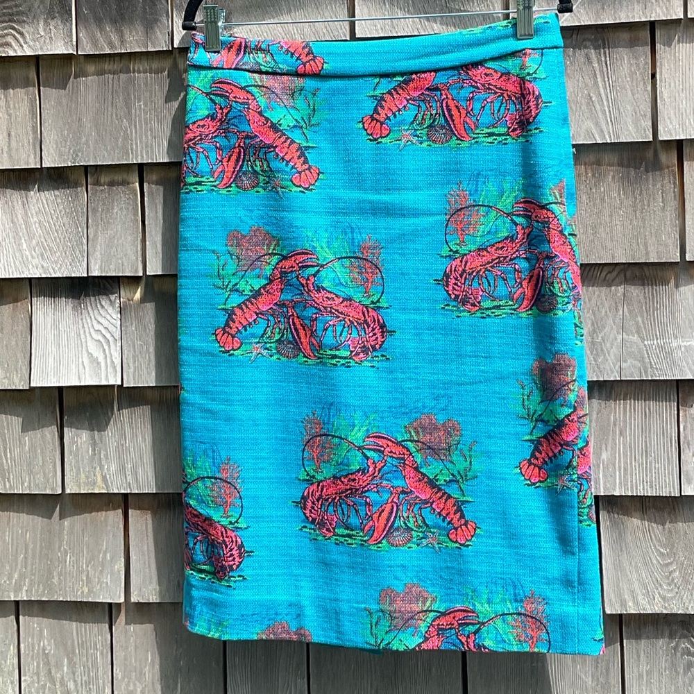 J.Crew Skirt